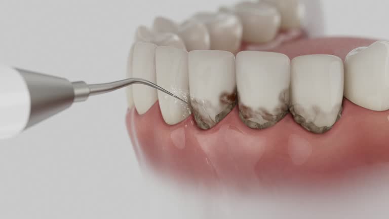Reliable Dental contractor in Point Pleasant, WV by Dentist Open Now